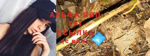 тгк Белокуриха
