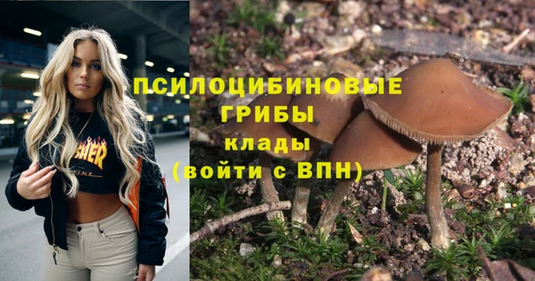 винт Беломорск